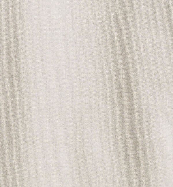 BEAUTY&YOUTH UNITED ARROWS「【WEB限定 WARDROBE SMART】クリア  ガスコットン モックネック カットソー【抗菌・防臭】」|Tシャツ・カットソー|