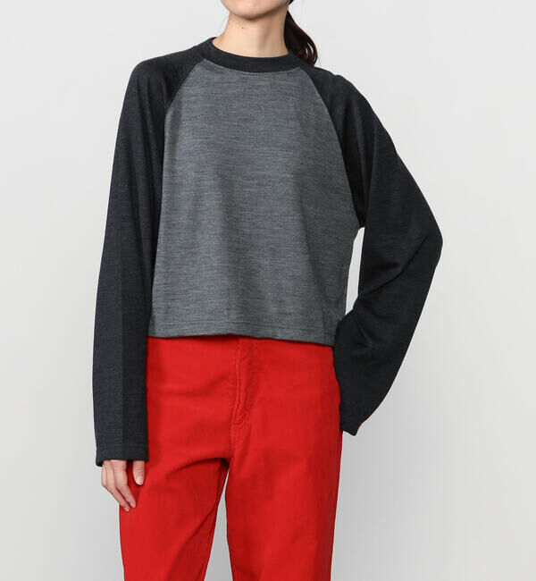  「alvana |〈別注〉ウール天竺 ベースボールTシャツ WOMEN」|Tシャツ・カットソー|GREY系1