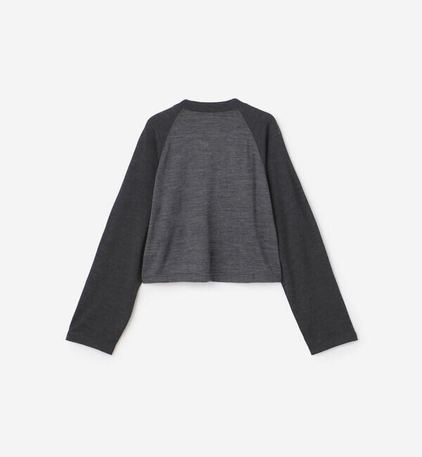  「alvana |〈別注〉ウール天竺 ベースボールTシャツ WOMEN」|Tシャツ・カットソー|