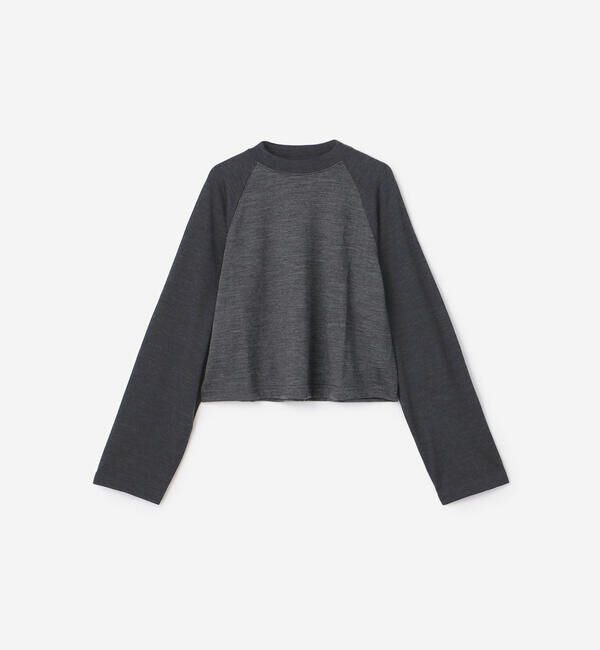  「alvana |〈別注〉ウール天竺 ベースボールTシャツ WOMEN」|Tシャツ・カットソー|