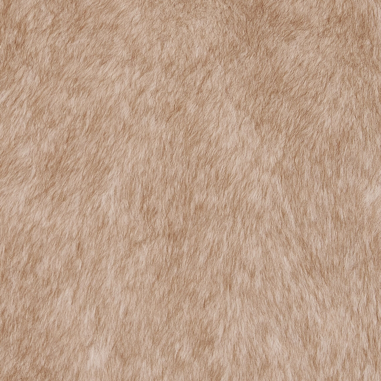  「three dots VELOUR FUR MILLY BLOUSN」|ブルゾン・スタジャン|