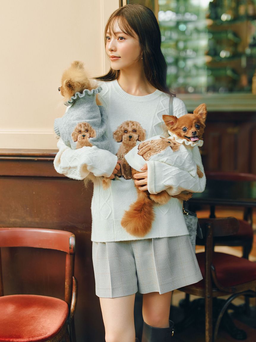 CELFORD「【ドライクリーニング】【DOG&CAT】DOG柄ケーブルニットプルオーバー」|その他|