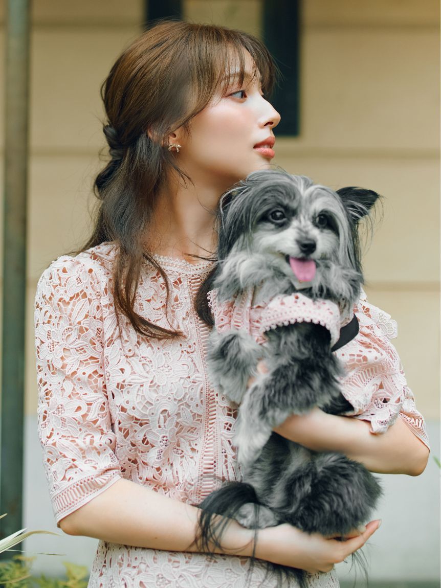 CELFORD「【洗える】【DOG&CAT】レースワンピース」|その他|