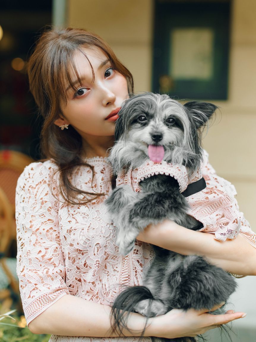 CELFORD「【洗える】【DOG&CAT】レースワンピース」|その他|