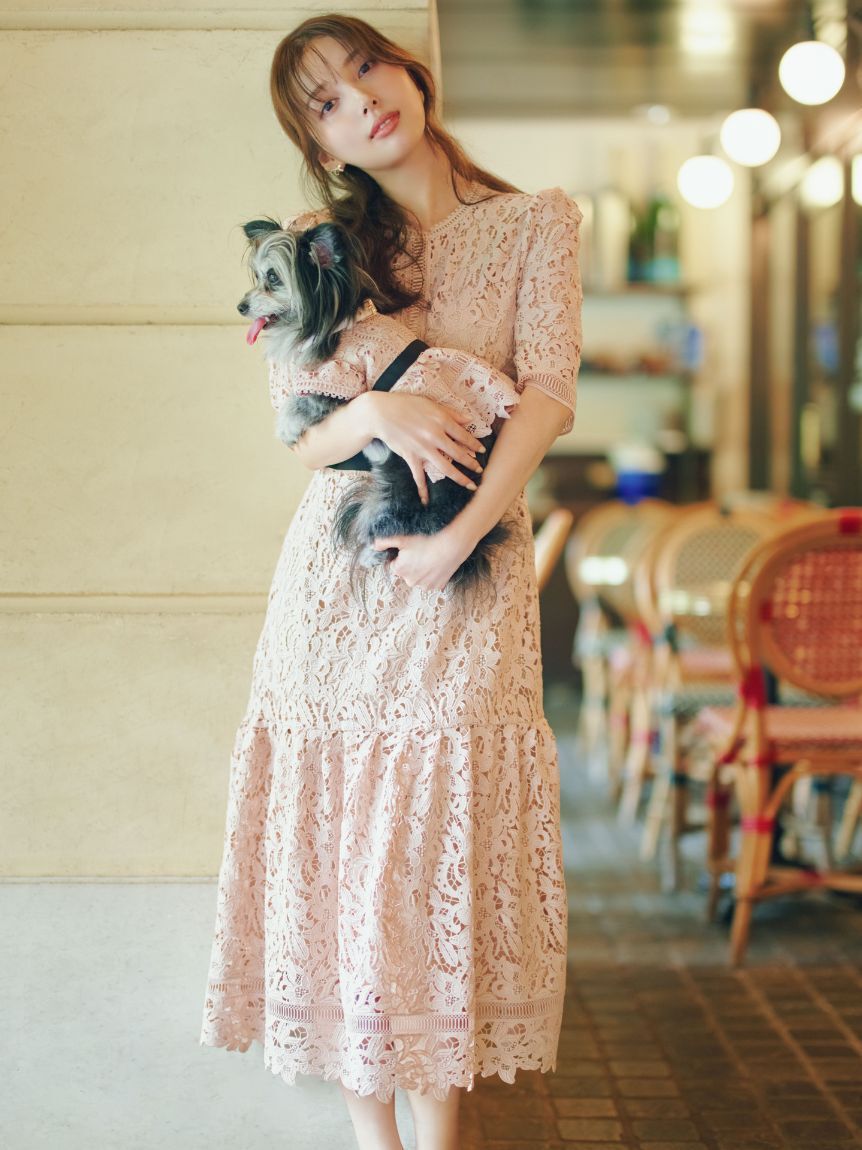 CELFORD「【洗える】【DOG&CAT】レースワンピース」|その他|