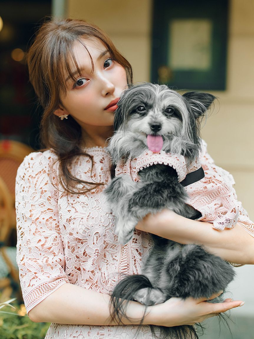CELFORD「【洗える】【DOG&CAT】レースワンピース」|その他|
