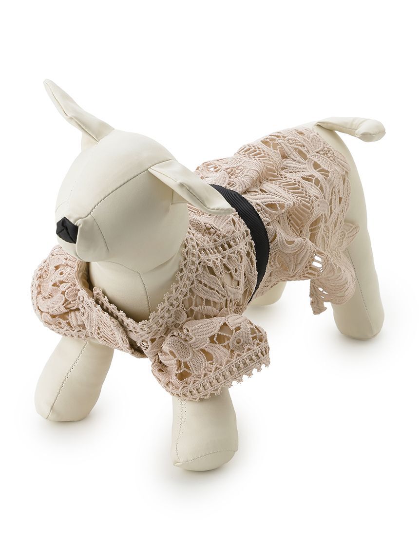 CELFORD「【洗える】【DOG&CAT】レースワンピース」|その他|