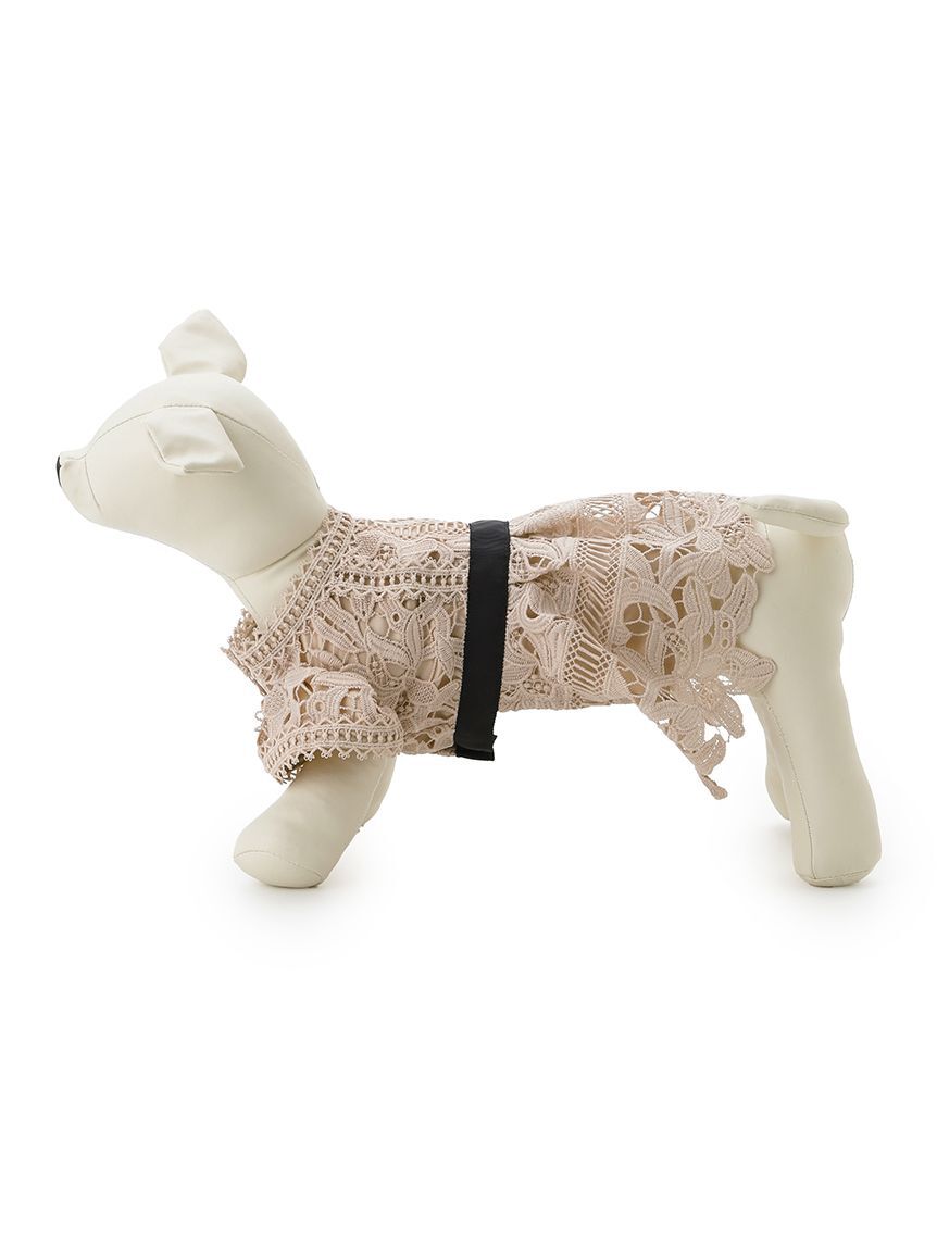 CELFORD「【洗える】【DOG&CAT】レースワンピース」|その他|