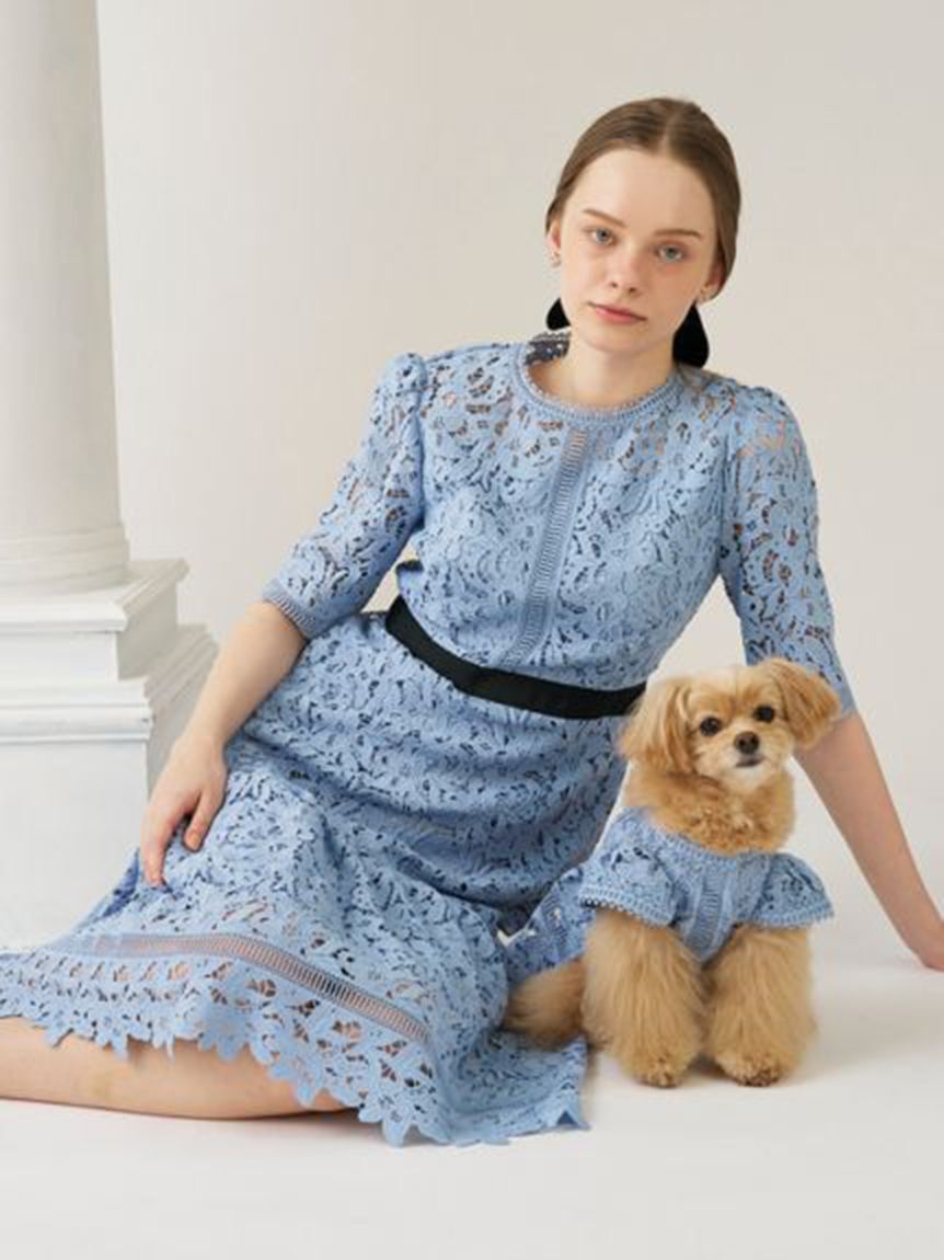 CELFORD「【洗える】【DOG&CAT】レースワンピース」|その他|