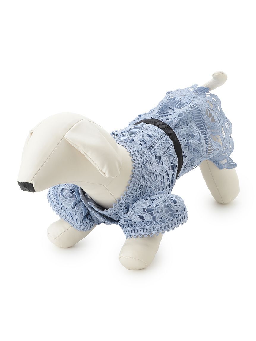 CELFORD「【洗える】【DOG&CAT】レースワンピース」|その他|