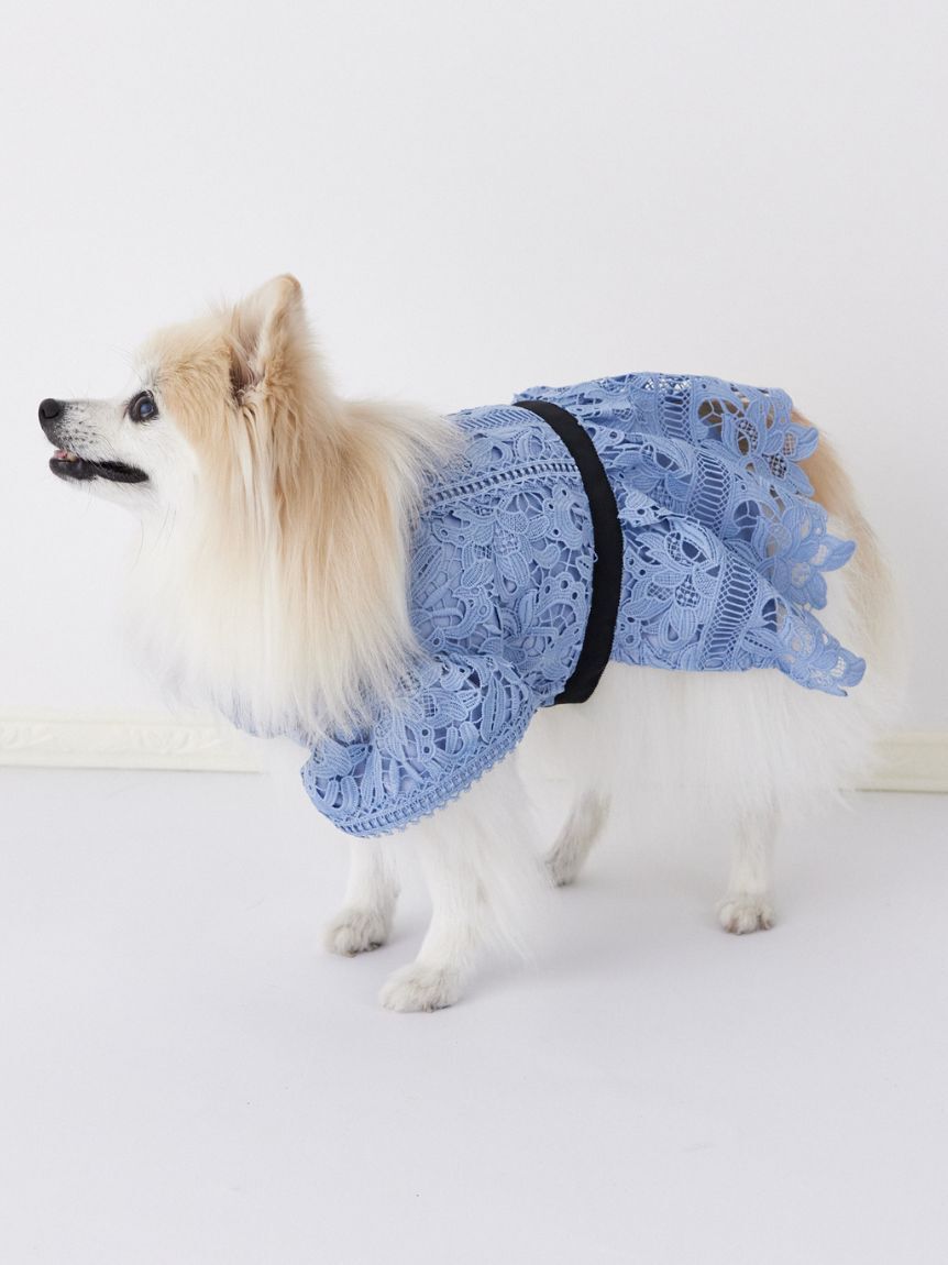 CELFORD「【洗える】【DOG&CAT】レースワンピース」|その他|