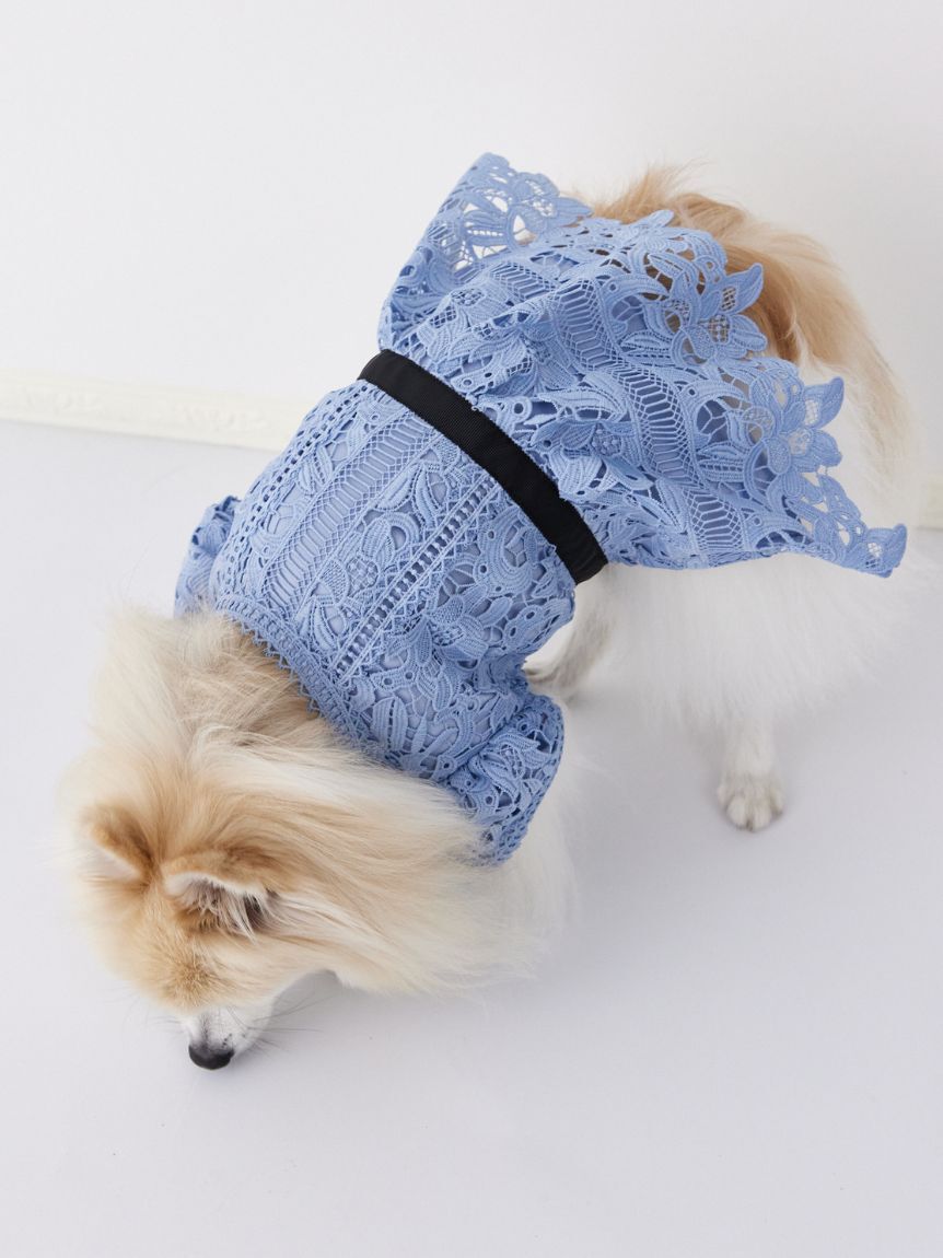 CELFORD「【洗える】【DOG&CAT】レースワンピース」|その他|