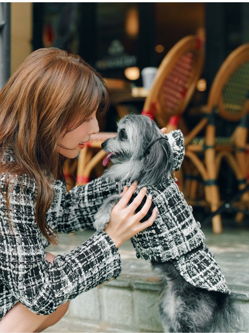 CELFORD「【洗える】【DOG&CAT】ツイードドッキングカットワンピース」|その他|BLK
