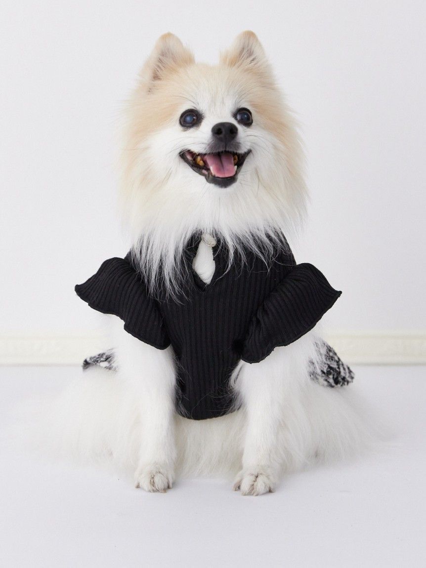 CELFORD「【洗える】【DOG&CAT】ツイードドッキングカットワンピース」|その他|