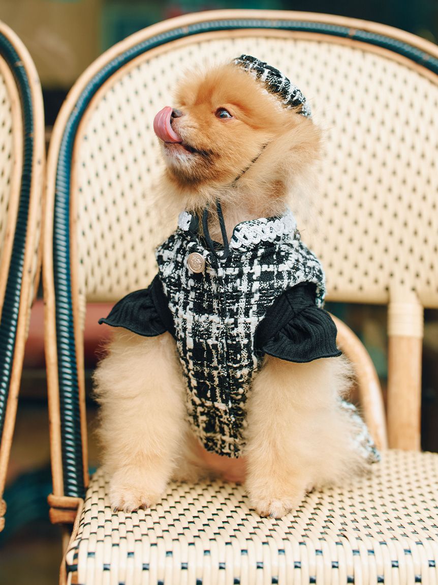CELFORD「【洗える】【DOG&CAT】ツイードドッキングカットワンピース」|その他|