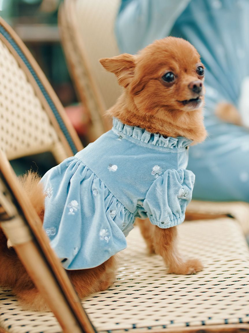 CELFORD「【洗える】【DOG&CAT】小花刺繍ベロアワンピース」|その他|
