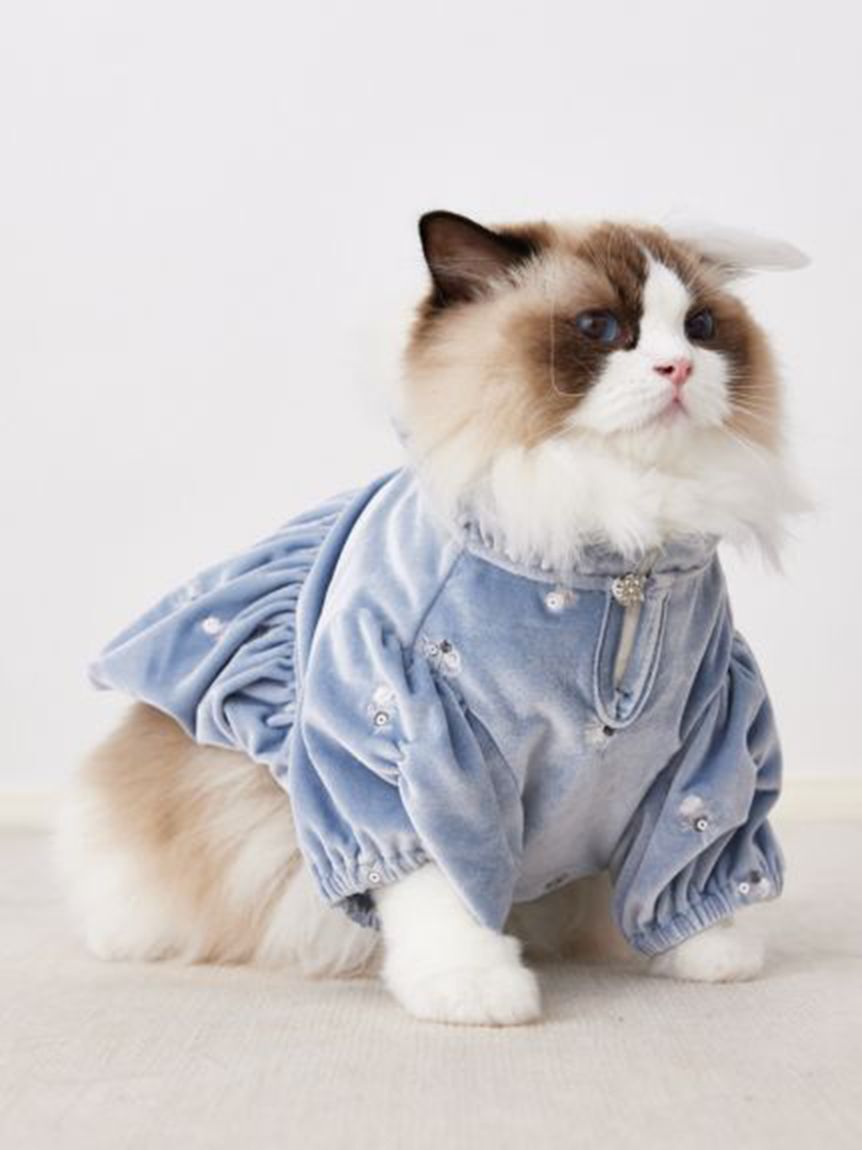 CELFORD「【洗える】【DOG&CAT】小花刺繍ベロアワンピース」|その他|