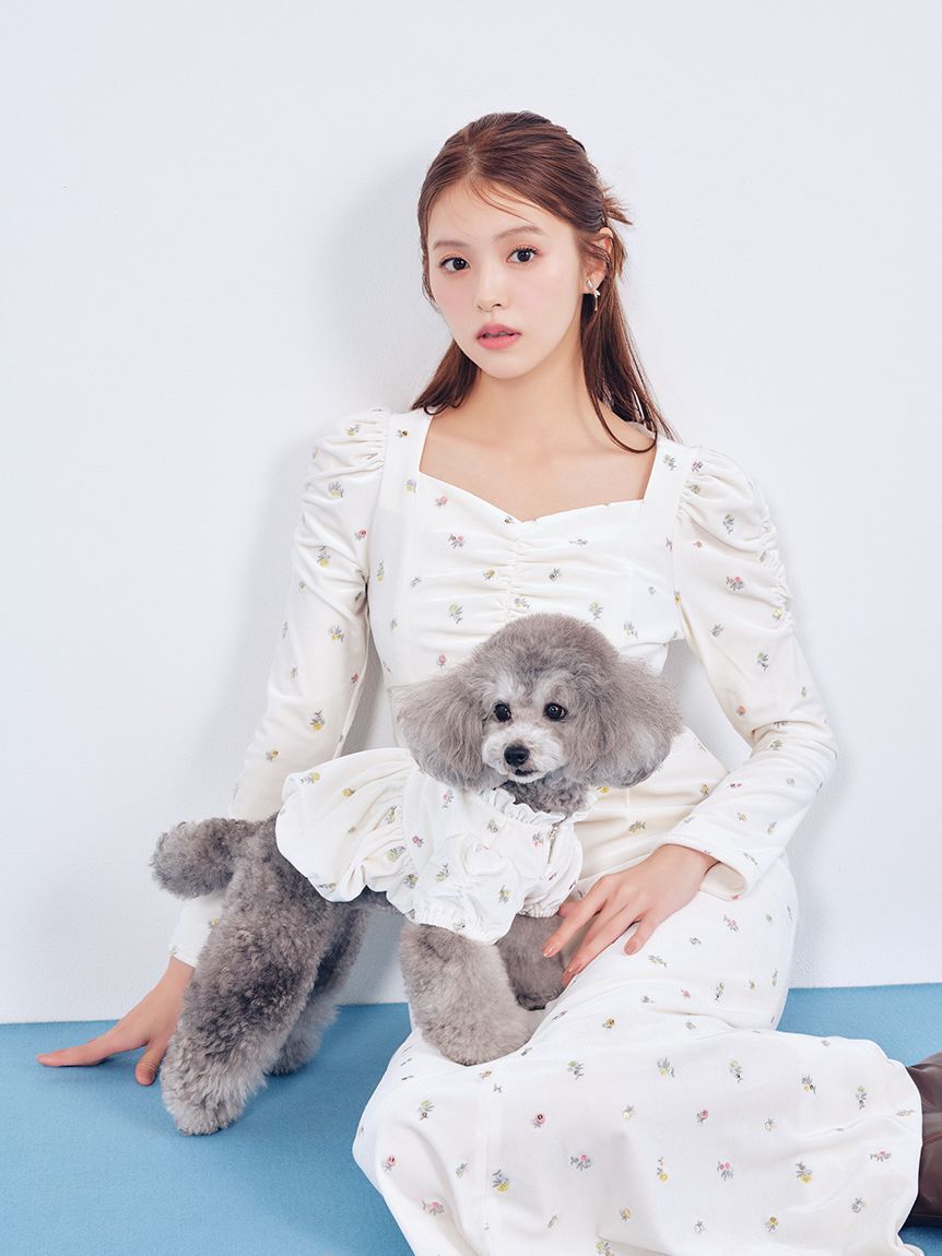CELFORD「【洗える】【DOG&CAT】小花刺繍ベロアワンピース」|その他|