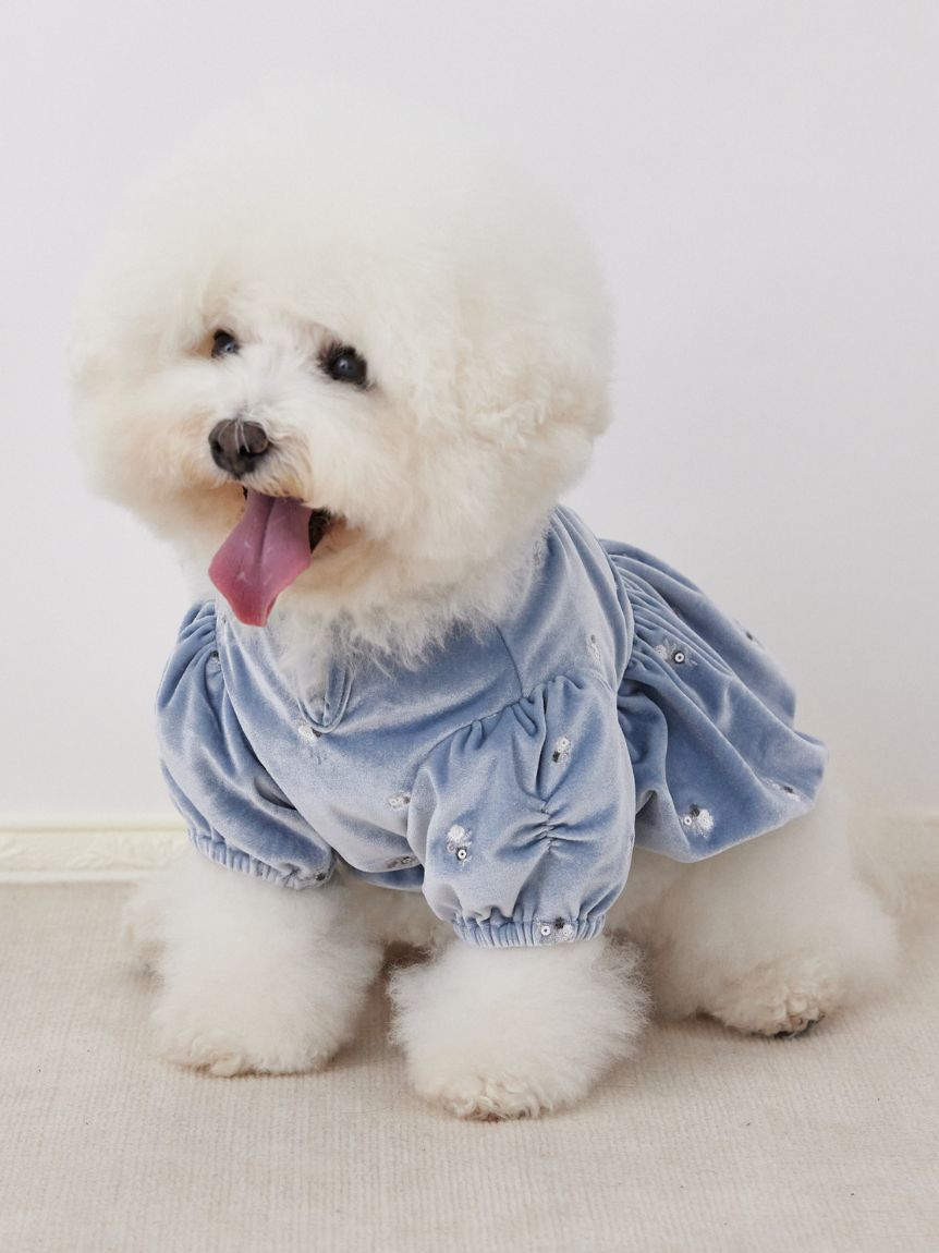 CELFORD「【洗える】【DOG&CAT】小花刺繍ベロアワンピース」|その他|