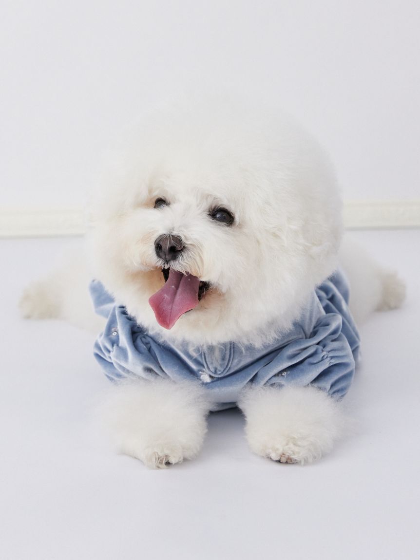 CELFORD「【洗える】【DOG&CAT】小花刺繍ベロアワンピース」|その他|