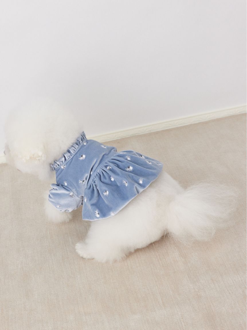 CELFORD「【洗える】【DOG&CAT】小花刺繍ベロアワンピース」|その他|