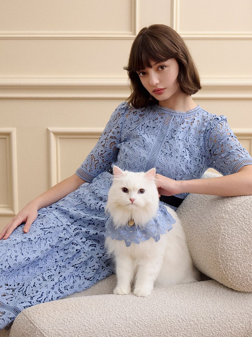 CELFORD「【洗える】【DOG&CAT】レーススタイ」|その他|