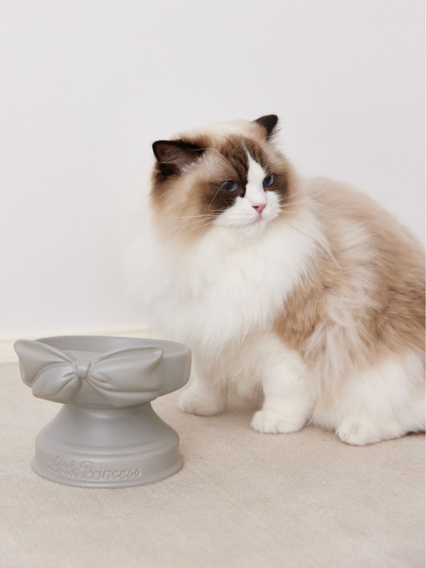 CELFORD「【DOG&CAT】リボンデザインフードボール」|その他|