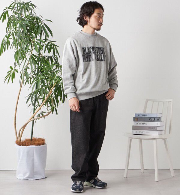 SHIPS any「【WEB限定】SHIPS any: NATIONAL PARK プリント スウェット 23AW◇」|スウェット・ジャージ|
