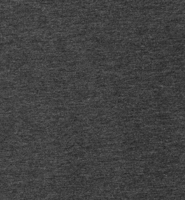 GALERIE VIE「スムージーコットン ボートネックプルオーバー」|Tシャツ・カットソー|