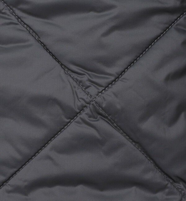 NOLLEY'S goodman「【TAION/タイオン】SINGLE SNAP BUTTON DOWN GILET 25AW」|ダウンベスト・ベスト|