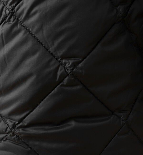 NOLLEY'S goodman「【TAION/タイオン】SINGLE SNAP BUTTON DOWN GILET 25AW」|ダウンベスト・ベスト|