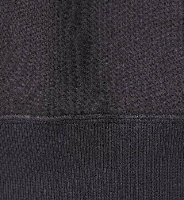 UNITED ARROWS green label relaxing「【別注】＜Champion＞CVC TF プリント プルオーバー」|スウェット・ジャージ|