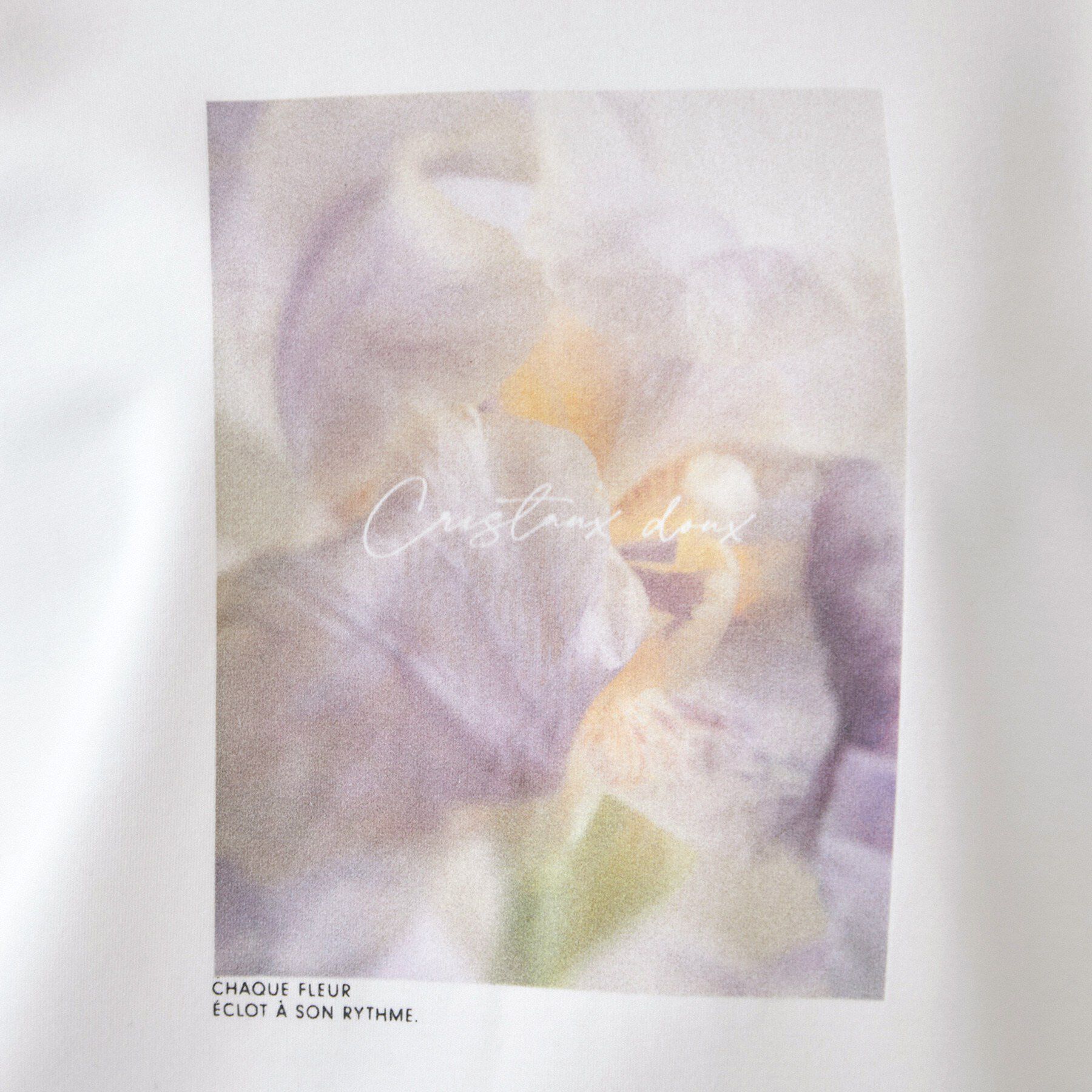index「ダンボールデザイントップス【洗濯機OK】」|Tシャツ・カットソー|