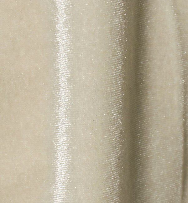 STEVEN ALAN「＜Steven Alan＞ベロア ジップ カーディガン」|カーディガン|
