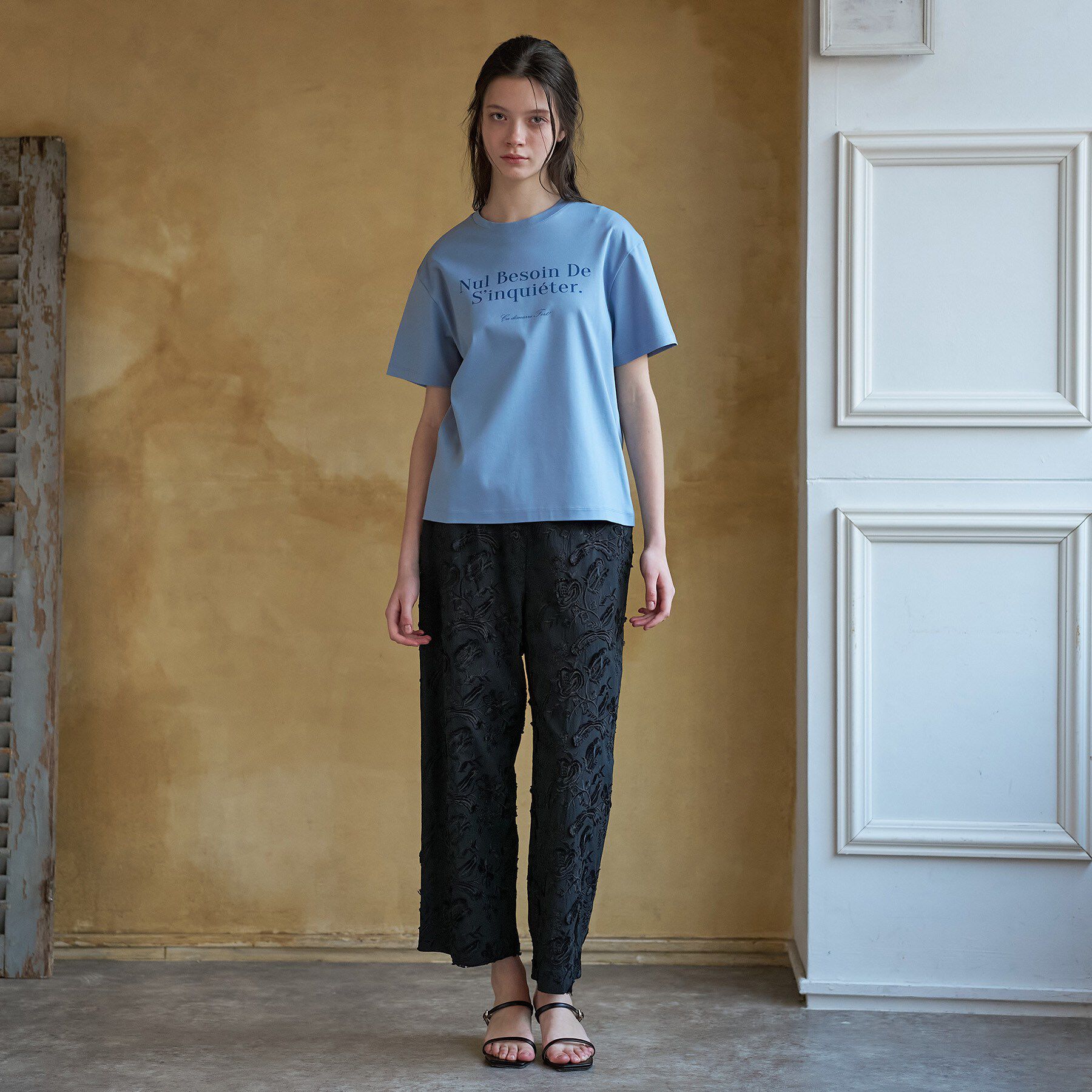 DRESSTERIOR「【接触冷感／抗菌防臭／消臭】アイスクリアコットンフレンチロゴT」|Tシャツ・カットソー|