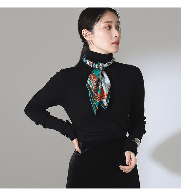 Demi-Luxe BEAMS 「リブ タートルネック ニット」|ニット・セーター|