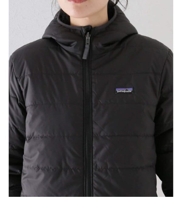 FRAMeWORK「≪一部店舗+WEB限定 / 追加≫PATAGONIA KS reversibleready FreddyHoody」|その他|