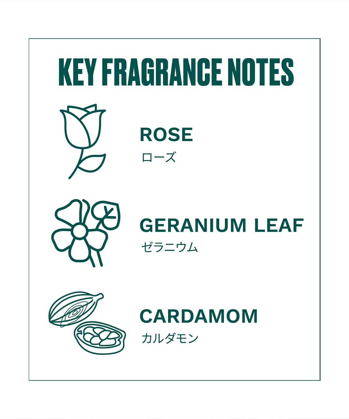 THE BODY SHOP「ローズ オードパルファム 75mL」|香水・フレグランス|