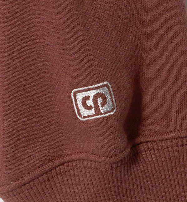 BEAUTY&YOUTH UNITED ARROWS「【別注】＜Collegiate Pacific＞プリント Vネック スウェットプルオーバー」|スウェット・ジャージ|