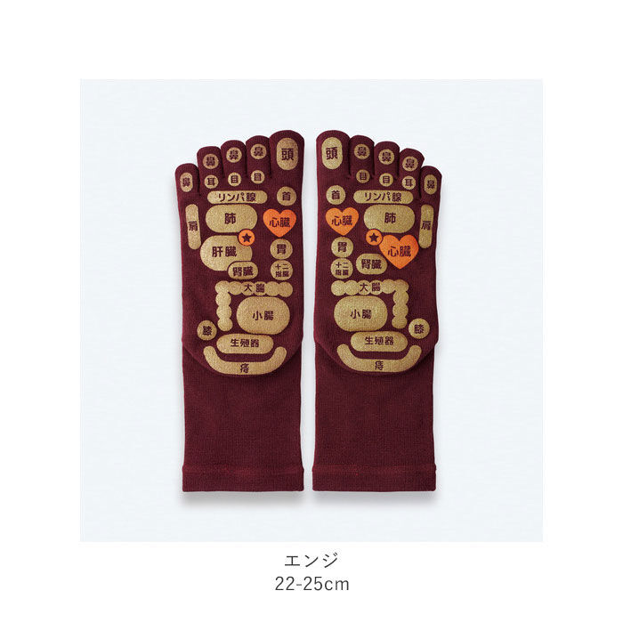 BACKYARD FAMILY「足つぼ 靴下 通販 TSUBOレシピ 足つぼソックス メンズ レディース ソックス くつ下 靴した」|ソックス|