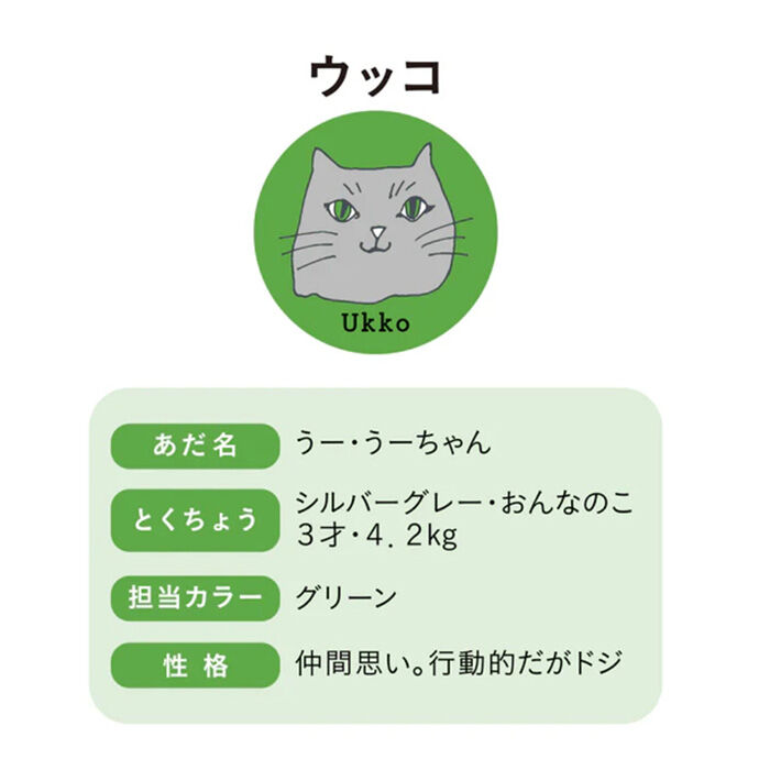 BACKYARD FAMILY「左右 違う 靴下 通販 日本製 クルーソックス 猫柄靴下 猫 ねこ ネコ ネコソックス」|ソックス|