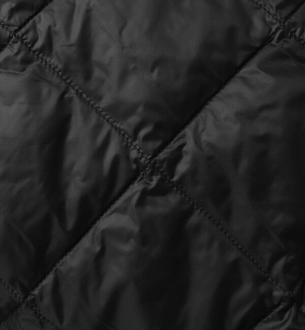 NOLLEY'S goodman「【TAION/タイオン】SINGLE SNAP BUTTON DOWN GILET 26AW」|ダウンベスト・ベスト|