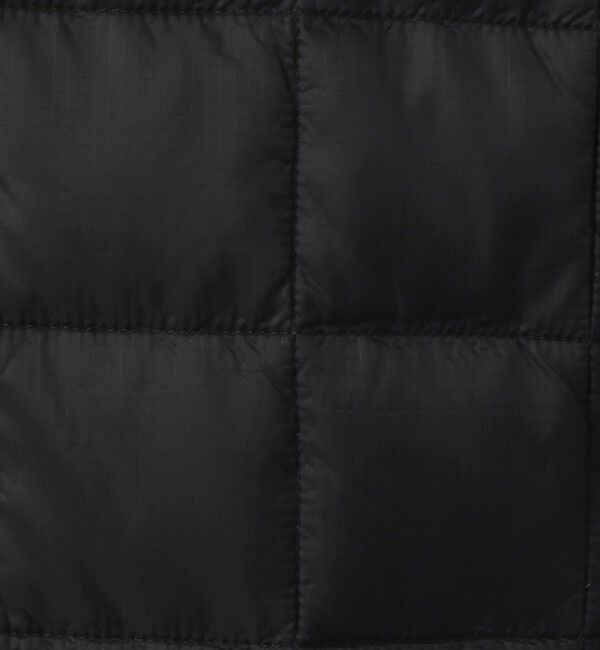 NOLLEY'S goodman「【TAION/タイオン】MOUNTAIN  R/S DOWN&times;BOA Hi-NECK VEST 26AW」|ダウンベスト・ベスト|