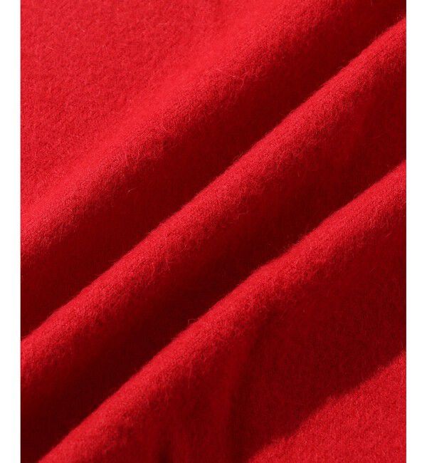 ADAM ET ROPE'「【THE INOUE BROTHERS...together with ADAM ET ROPE'】EX Brushed Scarf」|マフラー|