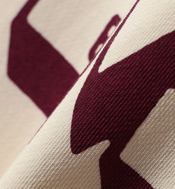 SHIPS any「【SHIPS any別注】THE KNiTS:〈洗濯機可能〉ロゴ プリント スウェット 26AW 2」|スウェット・ジャージ|