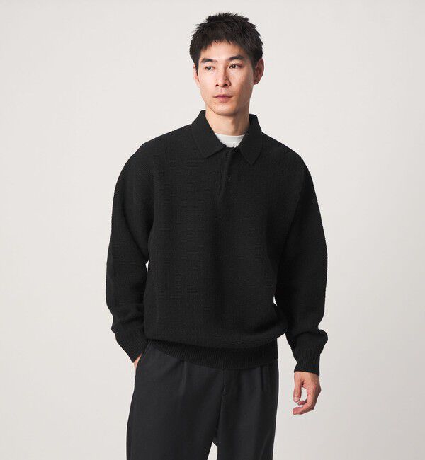 UNITED ARROWS green label relaxing「ハミルトンラムズウール ナイロン 長袖 ニットポロ」|ポロシャツ|BLACK