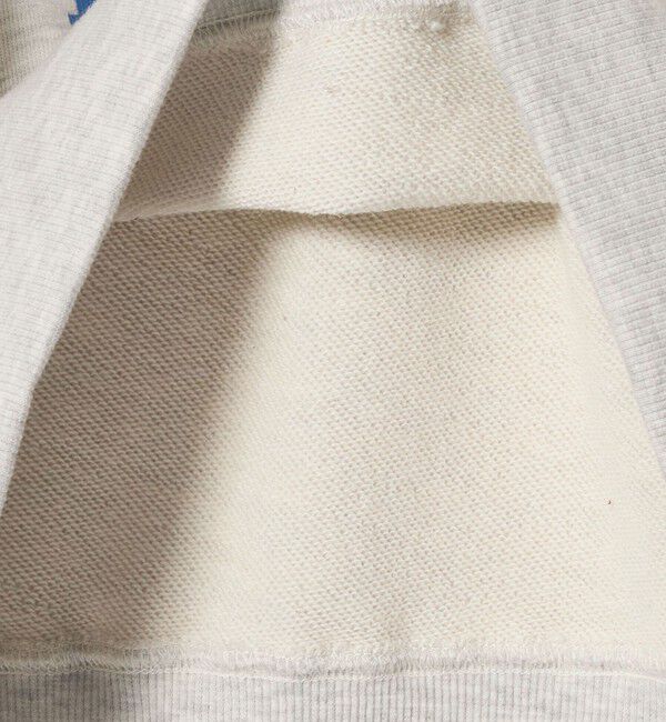 BEAUTY&YOUTH UNITED ARROWS「【別注】＜Collegiate Pacific＞プリント Vネック スウェットプルオーバー」|スウェット・ジャージ|