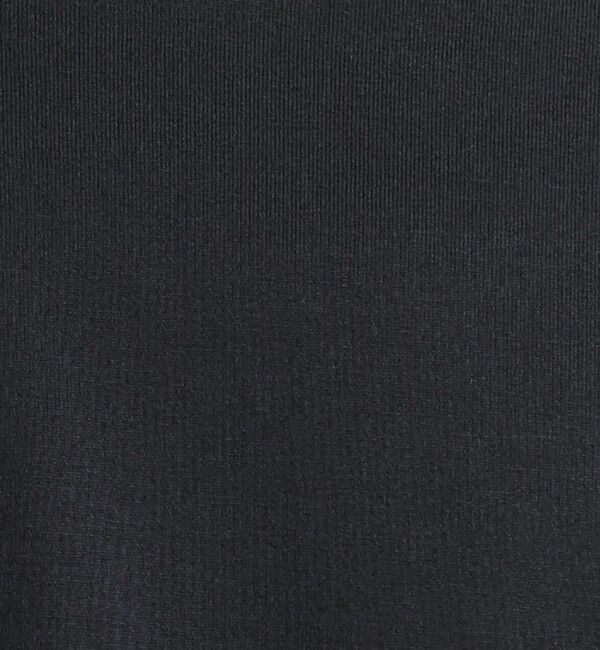 BEAUTY&YOUTH UNITED ARROWS「【WEB限定 WARDROBE SMART】 クリア ガスコットン タートルネック カットソー【抗菌・防臭】」|Tシャツ・カットソー|