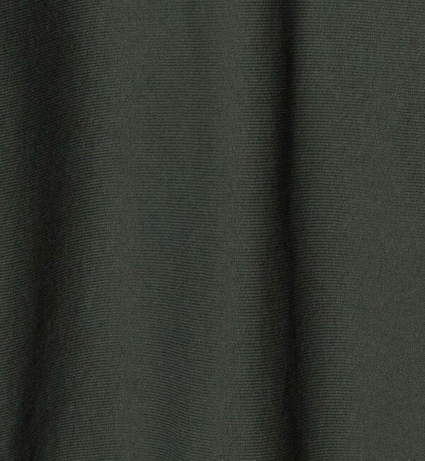 BEAUTY&YOUTH UNITED ARROWS「＜CHAMPION for BEAUTY&YOUTH＞ヘンリーネック スウェット」|Tシャツ・カットソー|