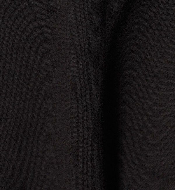 UNITED ARROWS green label relaxing「【別注】＜Champion＞CVC TF フード プルオーバー」|パーカー|